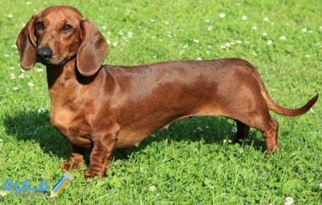 IMG ٢٠٢٠٠٩١٧ ١٨٤٧١٥