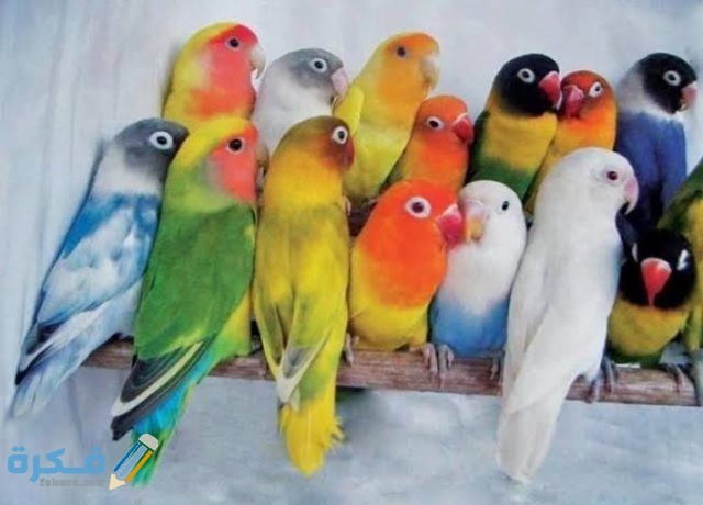 IMG ٢٠٢٠٠٩١٧ ١٨٤٨٣٤