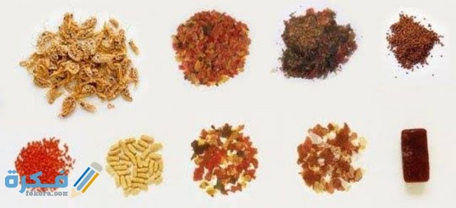 IMG ٢٠٢٠٠٩١٧ ١٨٤٩٠٠