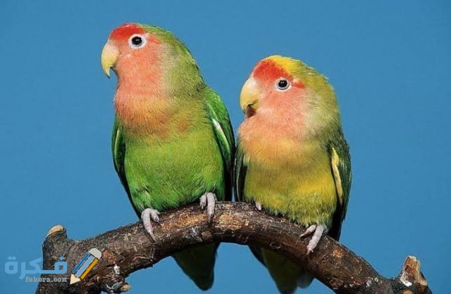 IMG ٢٠٢٠٠٩١٩ ٠٠٢٧٤٠