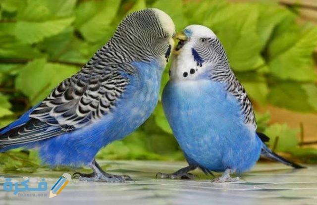 IMG ٢٠٢٠٠٩١٩ ٠٠٢٨٢١