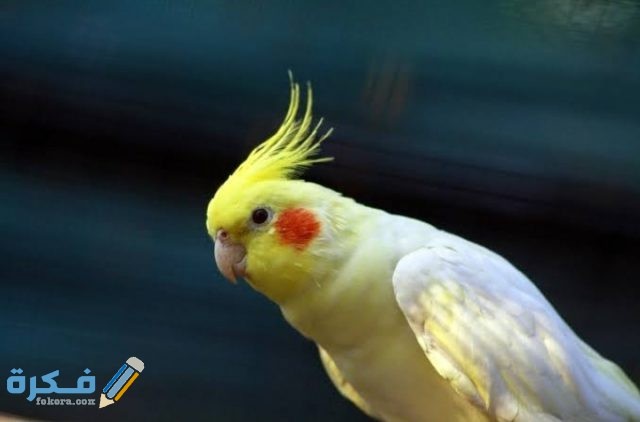 IMG ٢٠٢٠٠٩١٩ ٠٠٢٩٥١