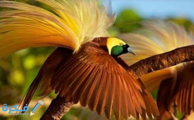 IMG ٢٠٢٠٠٩١٩ ٠٠٣٠٣٤