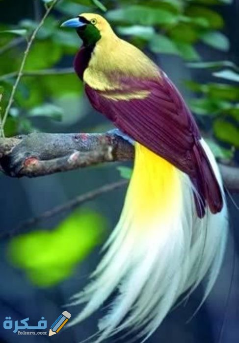 IMG ٢٠٢٠٠٩١٩ ٠٠٣٠٤١