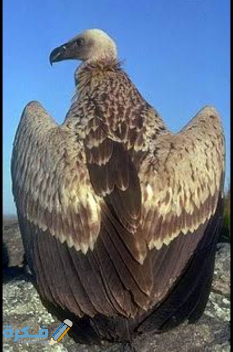 IMG ٢٠٢٠٠٩١٩ ٠٠٣٢٢٥