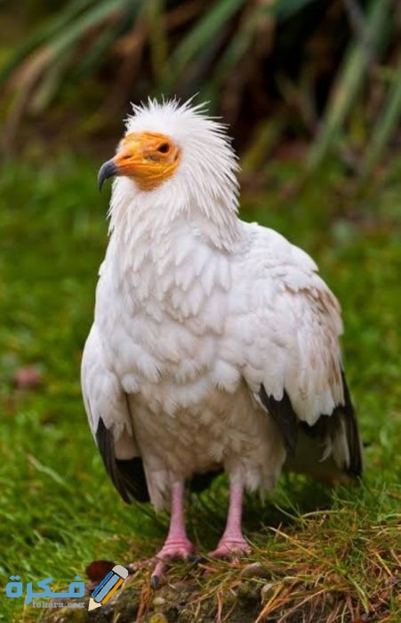 IMG ٢٠٢٠٠٩١٩ ٠٠٣٢٤٨