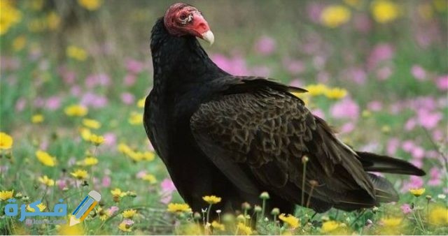 IMG ٢٠٢٠٠٩١٩ ٠٠٣٢٥٧