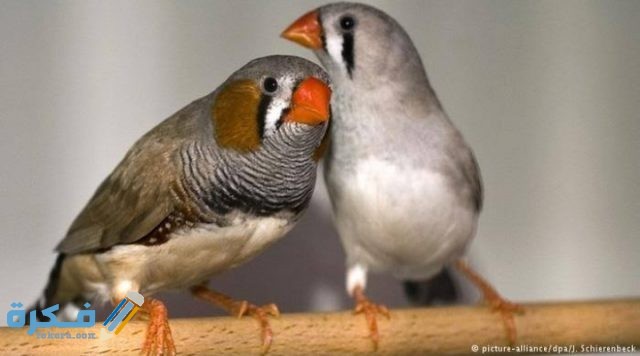 IMG ٢٠٢٠٠٩١٩ ١٤٥٣٤٥