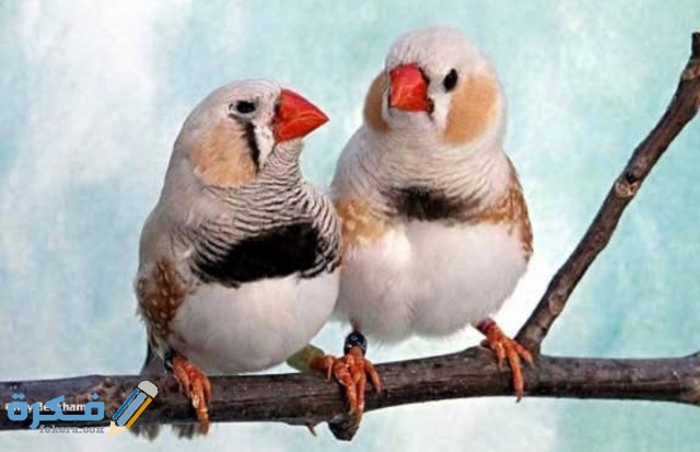 IMG ٢٠٢٠٠٩١٩ ١٤٥٣٥٥