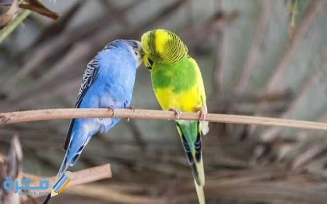 IMG ٢٠٢٠٠٩١٩ ١٤٥٤١١