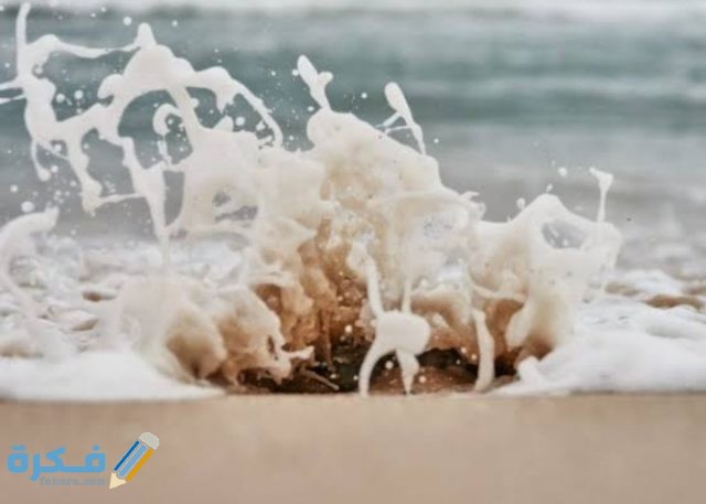 IMG ٢٠٢٠٠٩٢١ ٠٠٠٨٢١