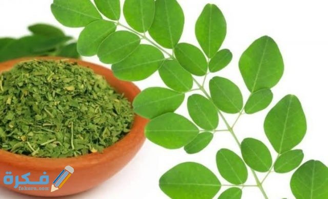 IMG ٢٠٢٠٠٩٢١ ٠٠٠٨٣٩