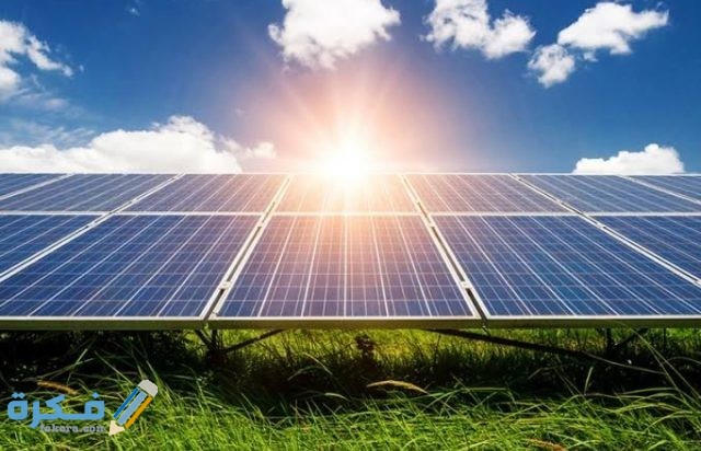 IMG ٢٠٢٠٠٩٢١ ٢٠٣٣٣٥