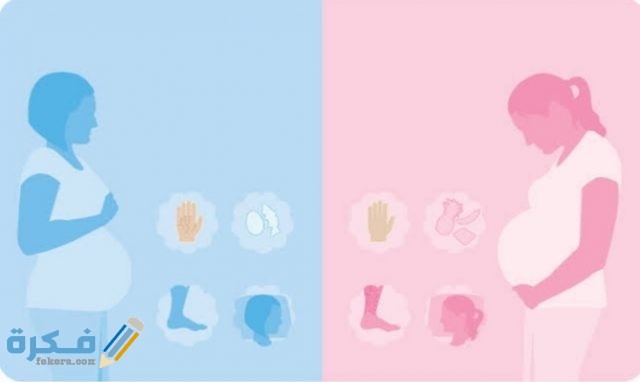 معرفة نوع الجنين من كعب الرجل