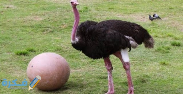 IMG ٢٠٢٠٠٩٢١ ٢١٥٤١٠