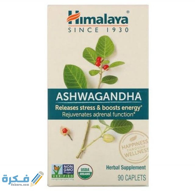 اين تباع الاشواجندا في مصر