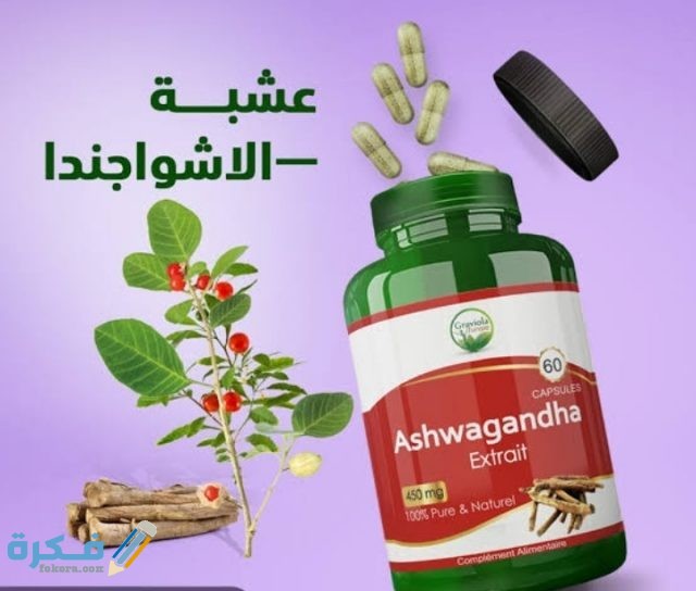 اين تباع الاشواجندا في مصر