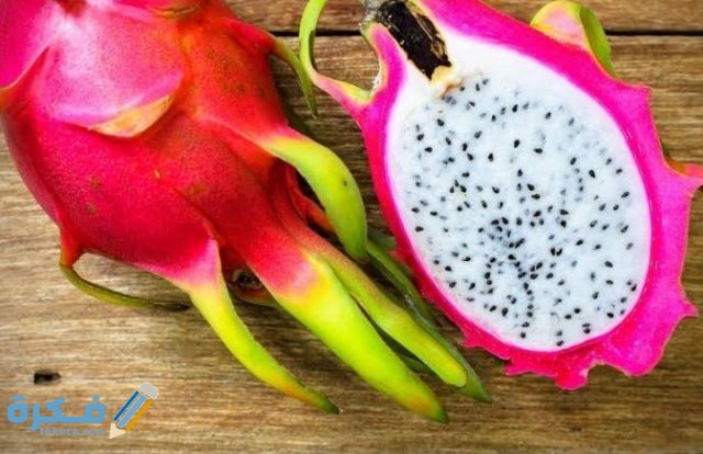 اين تباع شتلات فاكهة التنين في مصر