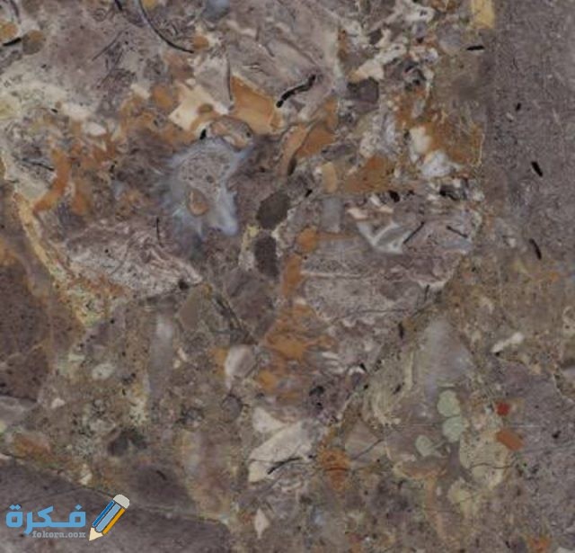 IMG ٢٠٢٠٠٩٢٥ ٠٣٠٥٢٥