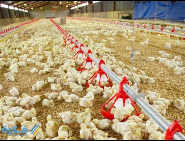 IMG ٢٠٢٠٠٩٢٩ ٠٨٥٤٤٣