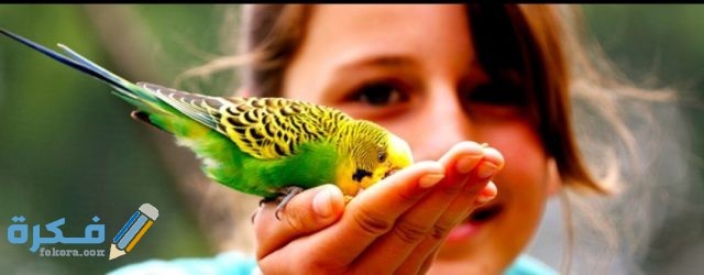 IMG ٢٠٢٠٠٩٢٩ ٠٩٥٧٥٥