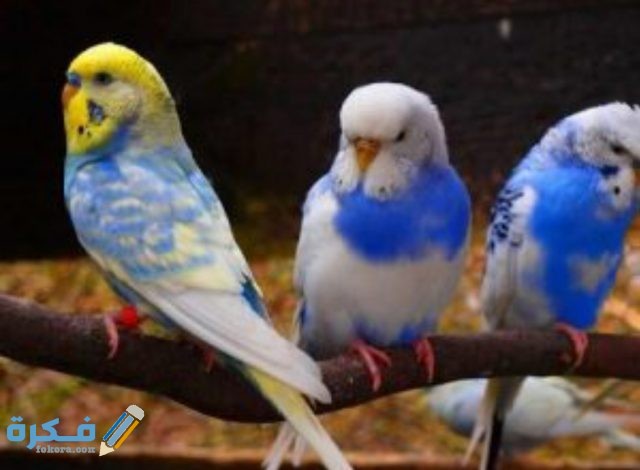 IMG ٢٠٢٠٠٩٢٩ ٠٩٥٨٢٦