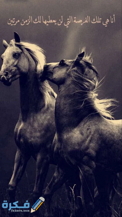 d0f41573e4922b247b64f05b18616a86