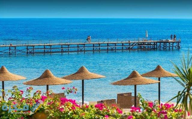 images 2021 09 14T062742.568