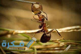 images 2021 09 29T071120.012