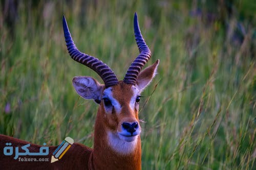 pexels photo 1344774