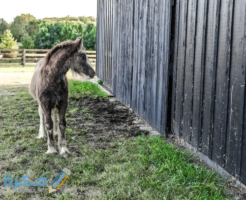 pexels photo 1473974