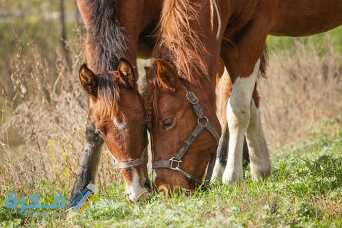 pexels photo 1543827