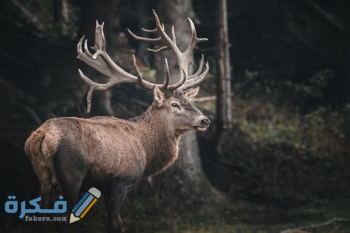 pexels photo 3329812