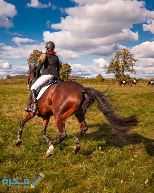 pexels photo 3723115