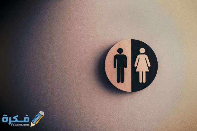 pexels tim mossholder 1722196