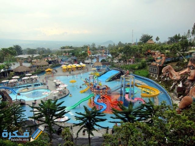 الحديقة المائية وتر بوم