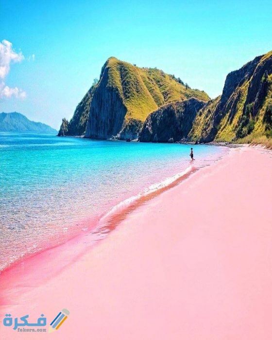 الشاطئ الوردي في جزيرة لومبوك اندونيسيا الشاطئ الوردي
