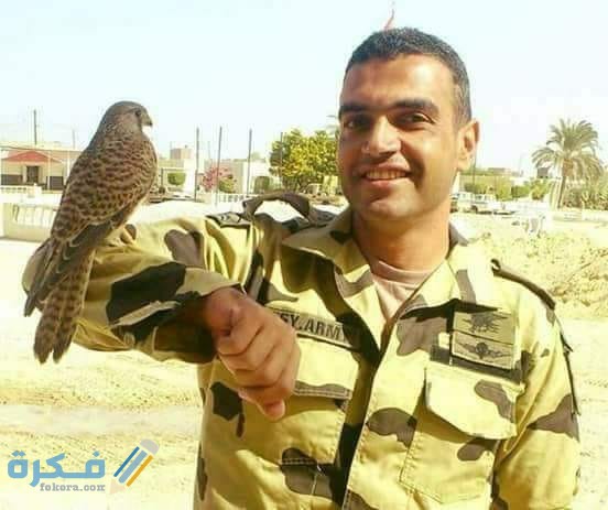 المنسي والصقر