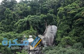 رحلة استكشاف الغابات في برهنتيان جولة الغابات