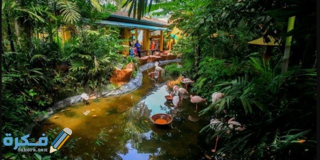 حديقة الحياة البرية