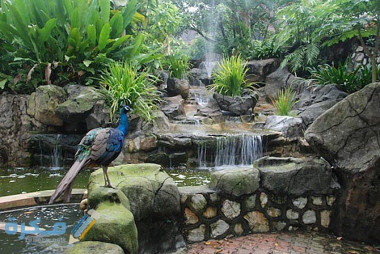 حديقة الطيور في كولامبور