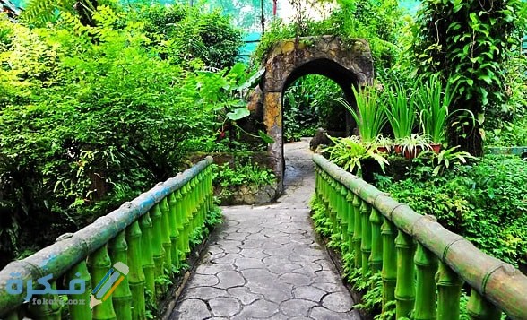 حديقة الفراشات