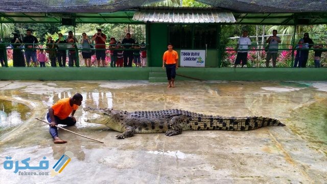حديقة تماسيح ملاكا