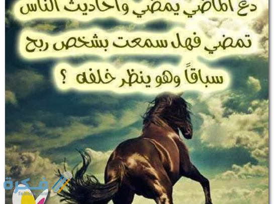 رمزيات خيول مكتوب عليها6 545x405 1