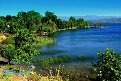 سبانجا التركية