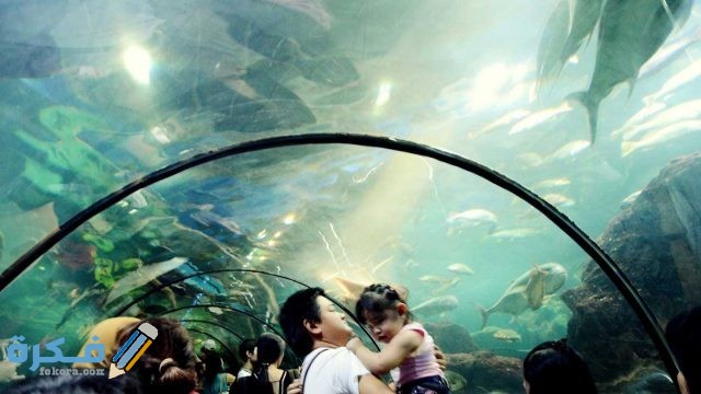 عالم بحار جاكرتا