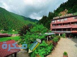 قرية كاركبينار