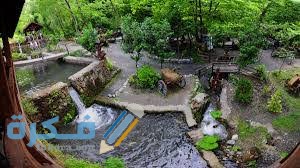 قرية ماسوكي