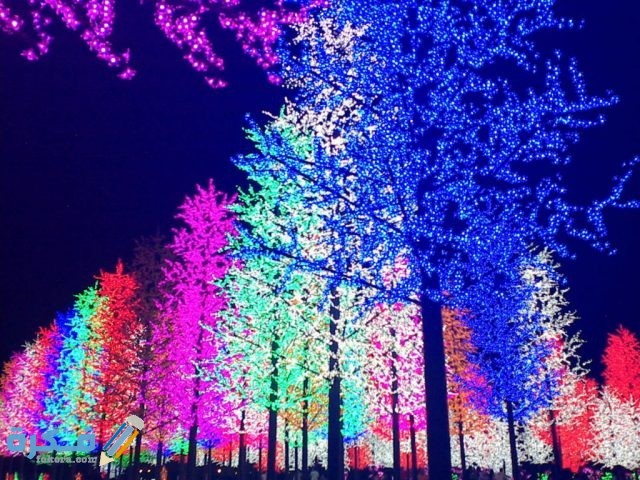 مدينة الاضواء شاه علم