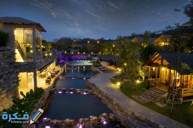 نتجع واسبا فيليا